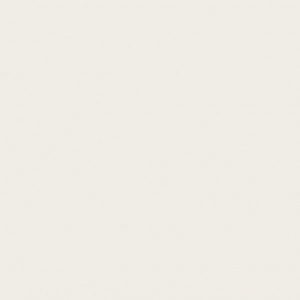 White Dove Semi-Opaque 25mm Cellular Shades | Honeycomb Window Blinds Supplier