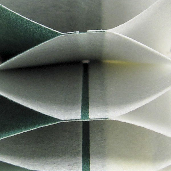 Dark Green Semi-Opaque 38mm Cellular Shades | OEM ODM Honeycomb Window Blinds Supplier | Eround