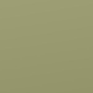 Avocado Opaque 38mm Cellular Shades | OEM ODM Honeycomb Window Blinds Supplier | Eround